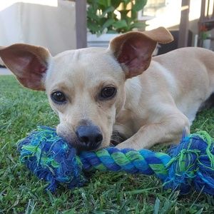 Meet your Posher, James